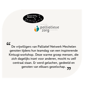 Review Palliatief Netwerk